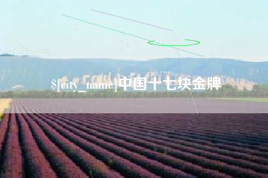 宜都中国十七块金牌