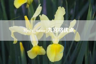 宜都九宫格优点