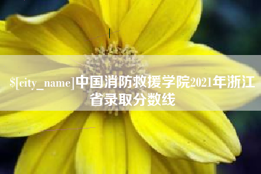宜都中国消防救援学院2021年浙江省录取分数线