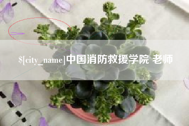 宜都中国消防救援学院 老师