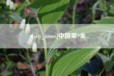 宜都中国第9金
