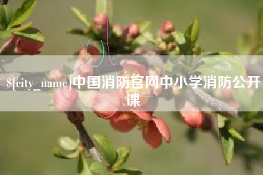 宜都中国消防官网中小学消防公开课