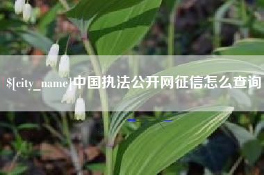 宜都中国执法公开网征信怎么查询