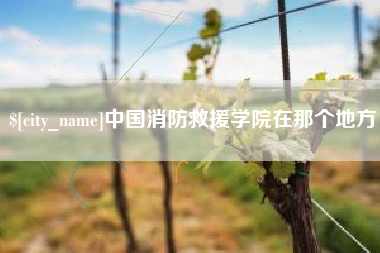 宜都中国消防救援学院在那个地方