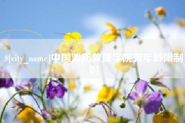 宜都中国消防救援学院有年龄限制吗