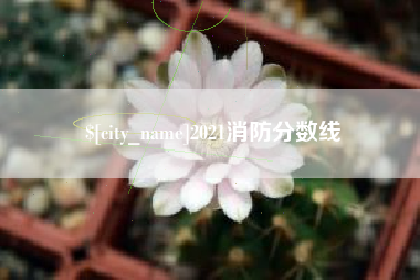宜都2021消防分数线