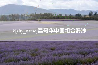 宜都温哥华中国组合滑冰