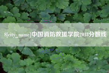 宜都中国消防救援学院2018分数线