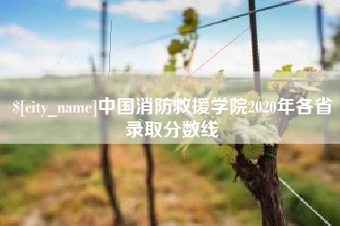 宜都中国消防救援学院2020年各省录取分数线