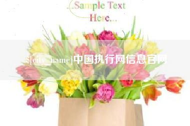 宜都中国执行网信息官网