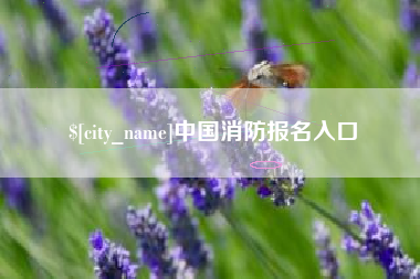宜都中国消防报名入口