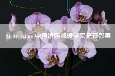 宜都中国消防救援学院是在哪里