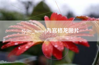 宜都九宫格龙图片