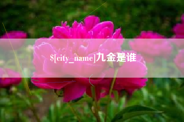 宜都九金是谁