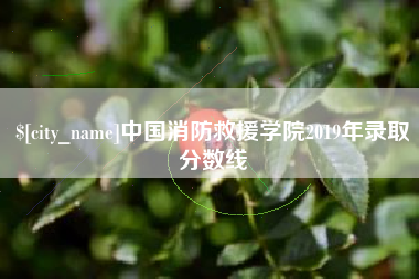 宜都中国消防救援学院2019年录取分数线