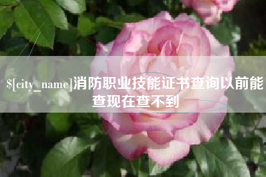 宜都消防职业技能证书查询以前能查现在查不到