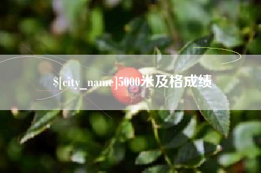 宜都5000米及格成绩