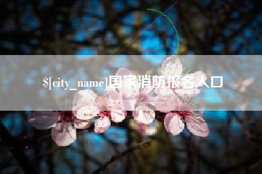 宜都国家消防报名入口