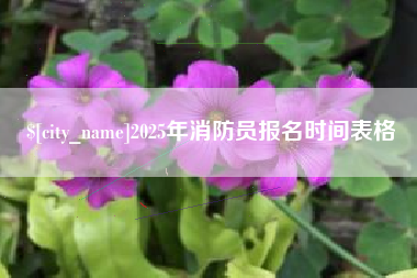 宜都2025年消防员报名时间表格