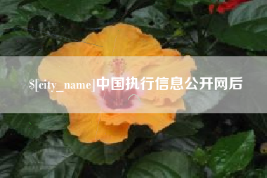 宜都中国执行信息公开网后