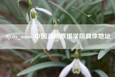 宜都中国消防救援学院具体地址