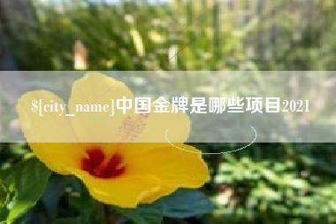 宜都中国金牌是哪些项目2021