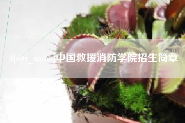 宜都中国救援消防学院招生简章