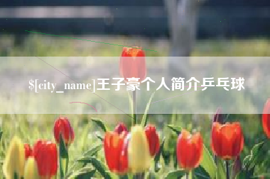宜都王子豪个人简介乒乓球