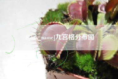 宜都九宫格分布图