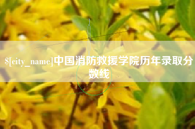 宜都中国消防救援学院历年录取分数线