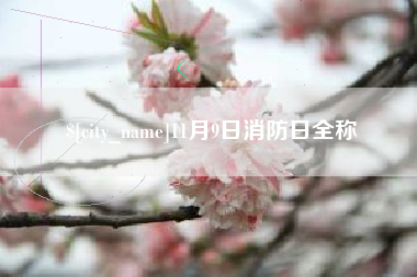宜都11月9日消防日全称