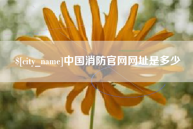 宜都中国消防官网网址是多少