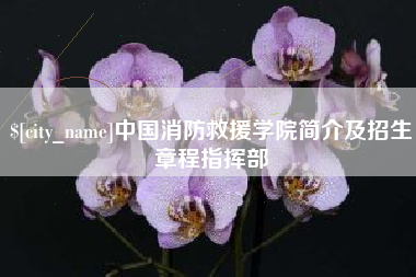 宜都中国消防救援学院简介及招生章程指挥部