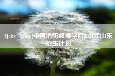 宜都中国消防救援学院2021年山东招生计划