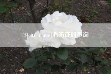 宜都消防证的查询