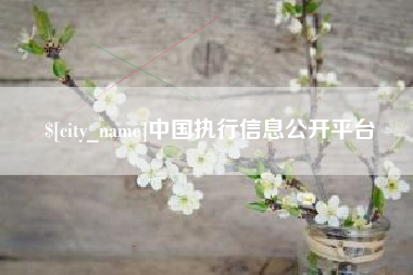 宜都中国执行信息公开平台