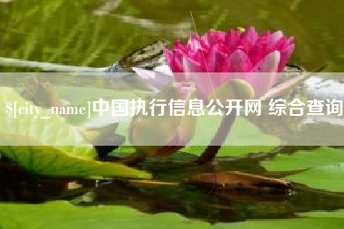 宜都中国执行信息公开网 综合查询