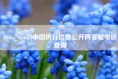 宜都中国执行信息公开网客服电话查询