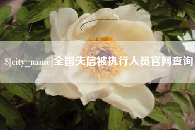 宜都全国失信被执行人员官网查询