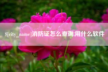 宜都消防证怎么查询,用什么软件