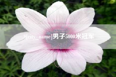 宜都男子5000米冠军