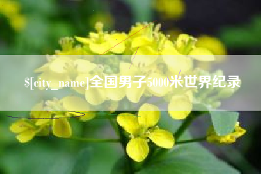 宜都全国男子5000米世界纪录