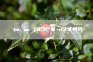 宜都消防产品cccf认证目录