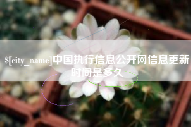 宜都中国执行信息公开网信息更新时间是多久