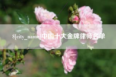 宜都中国十大金牌律师名单