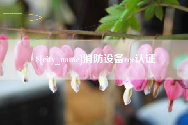 宜都消防设备ccc认证