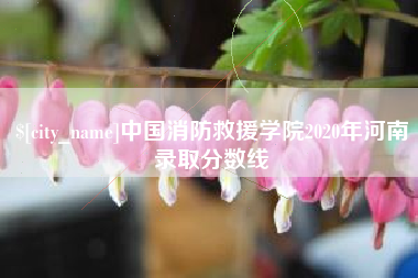 宜都中国消防救援学院2020年河南录取分数线