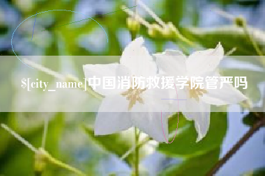 宜都中国消防救援学院管严吗