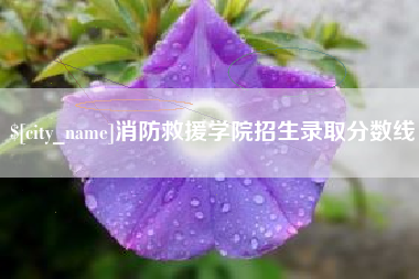 宜都消防救援学院招生录取分数线