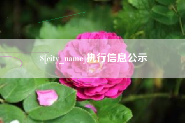 宜都执行信息公示